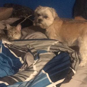 Meet your Posher, Rita